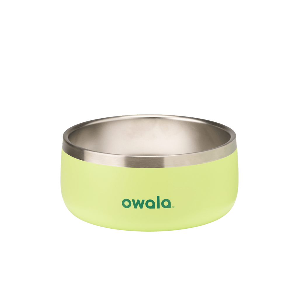 Pet Bowl X3