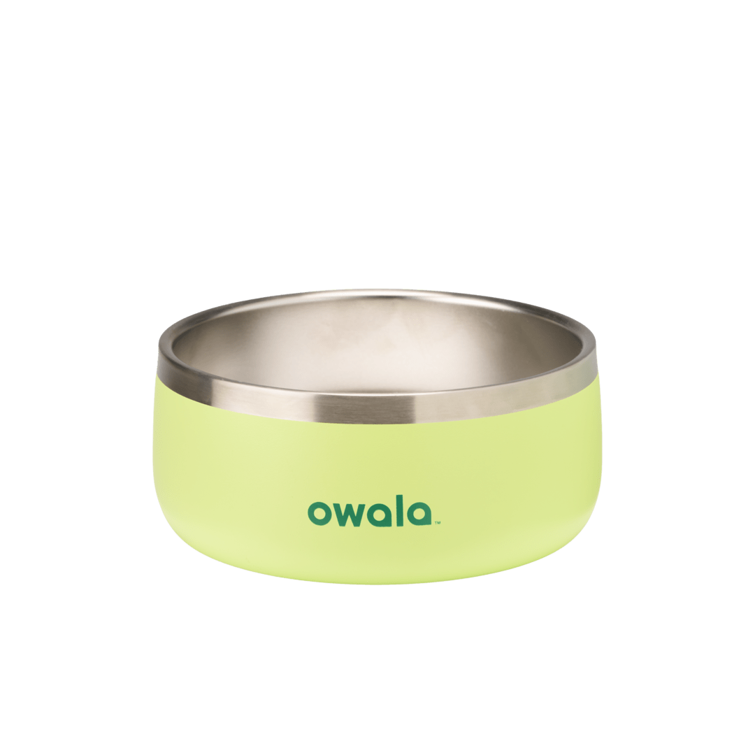 Pet Bowl X3