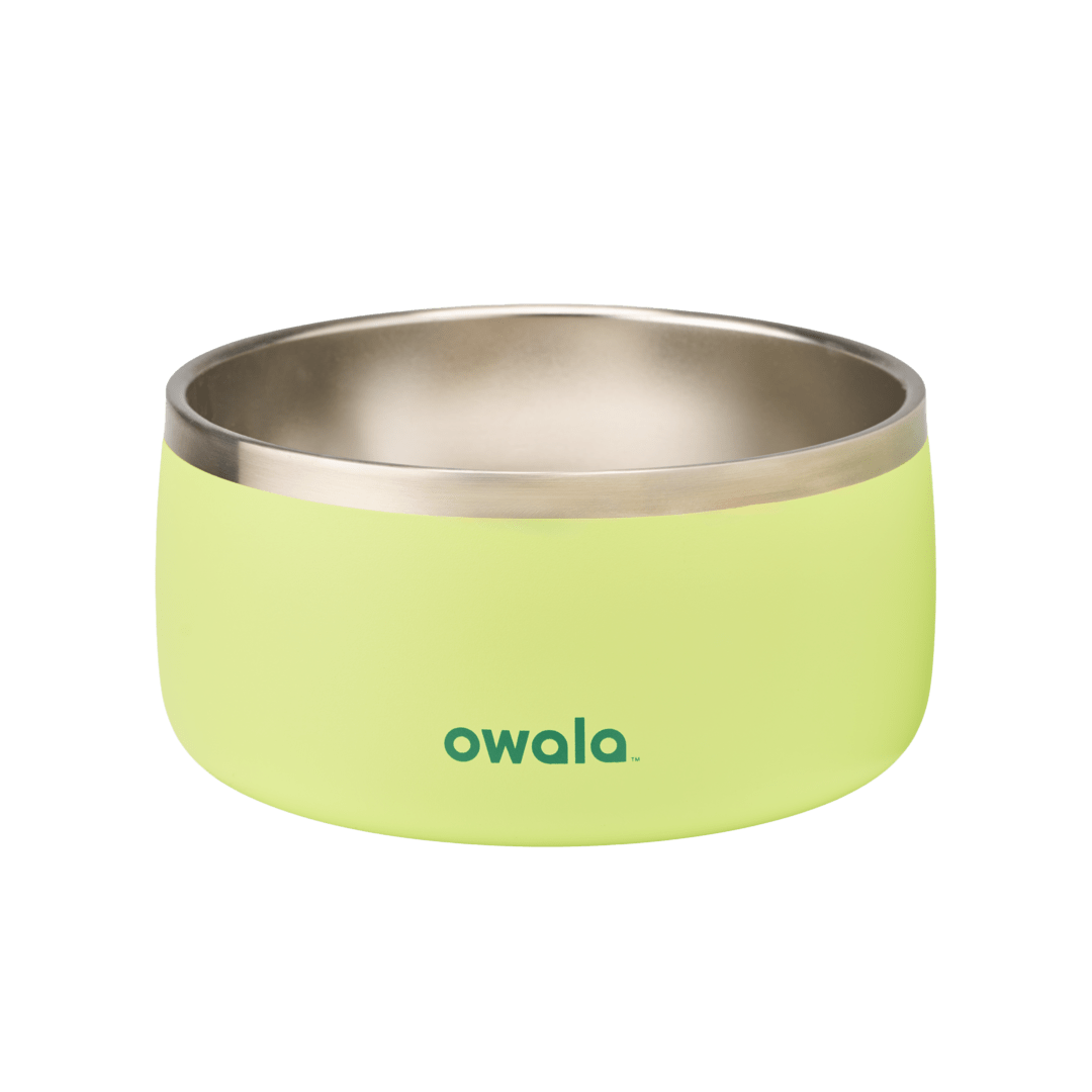 Pet Bowl X3