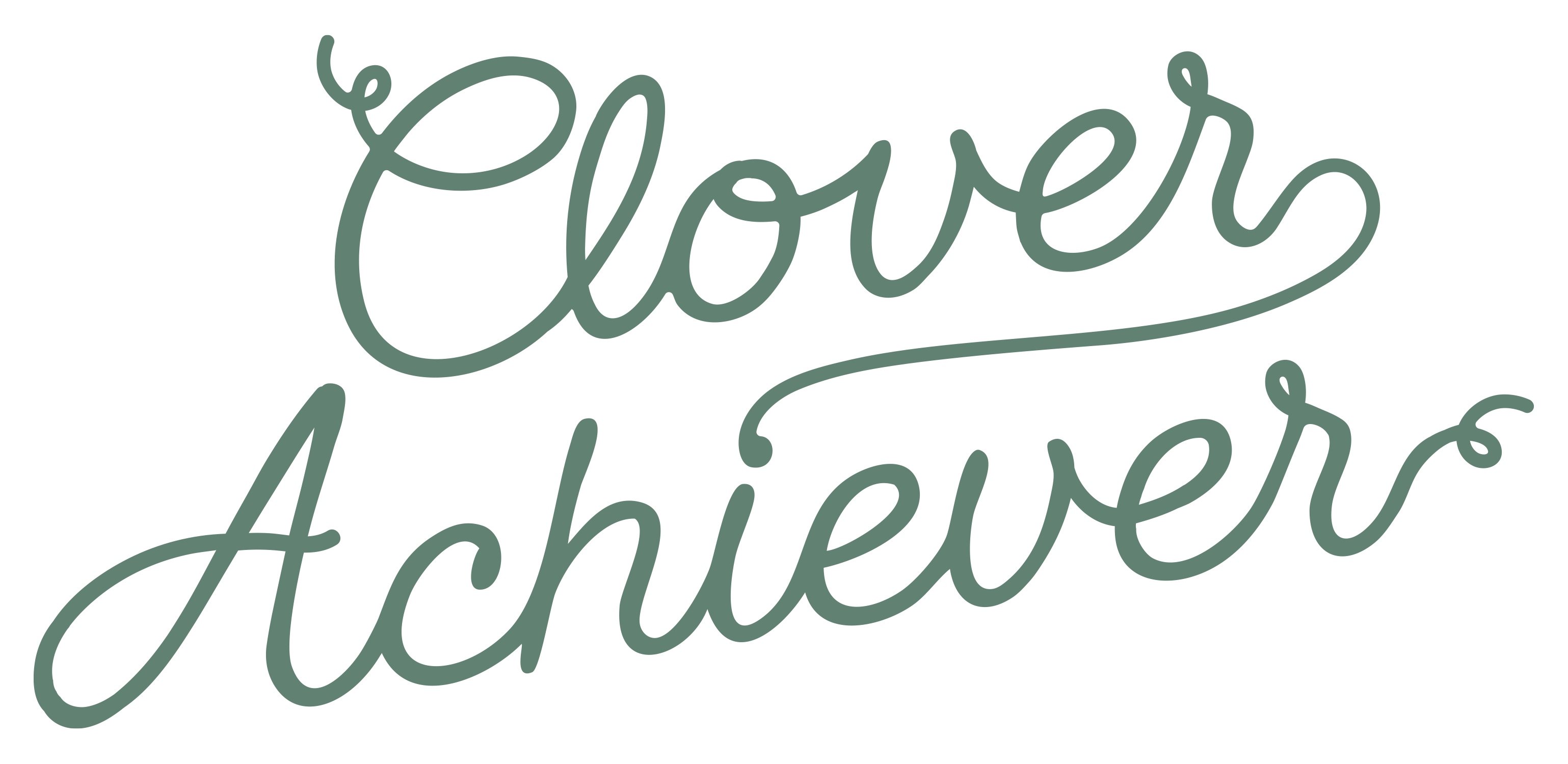 Clover Achiever N7