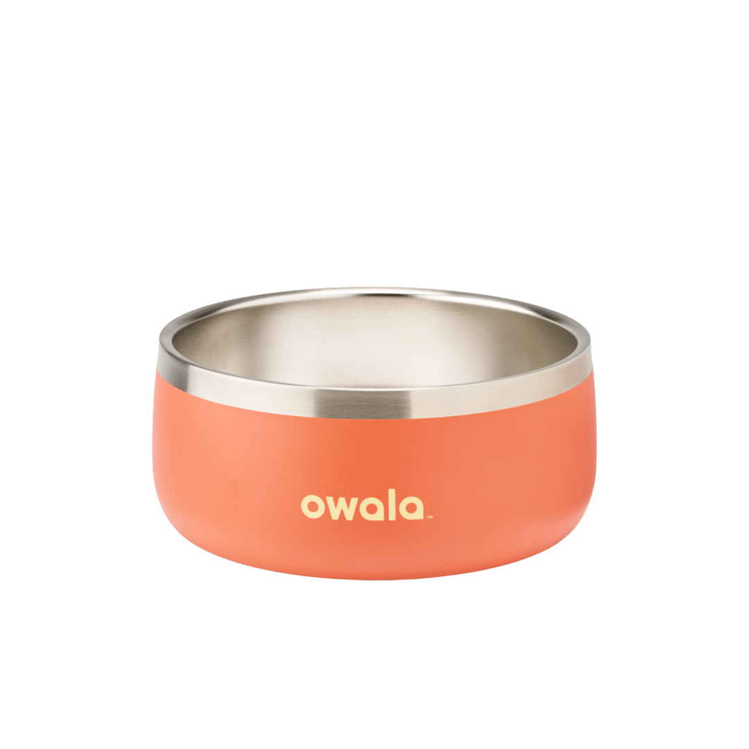 Pet Bowl X3