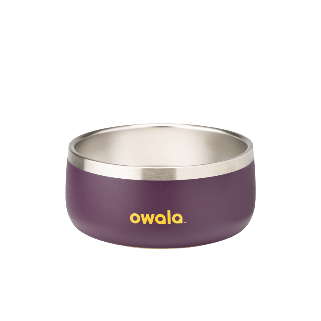 Pet Bowl X3