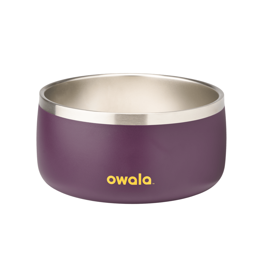 Pet Bowl X3