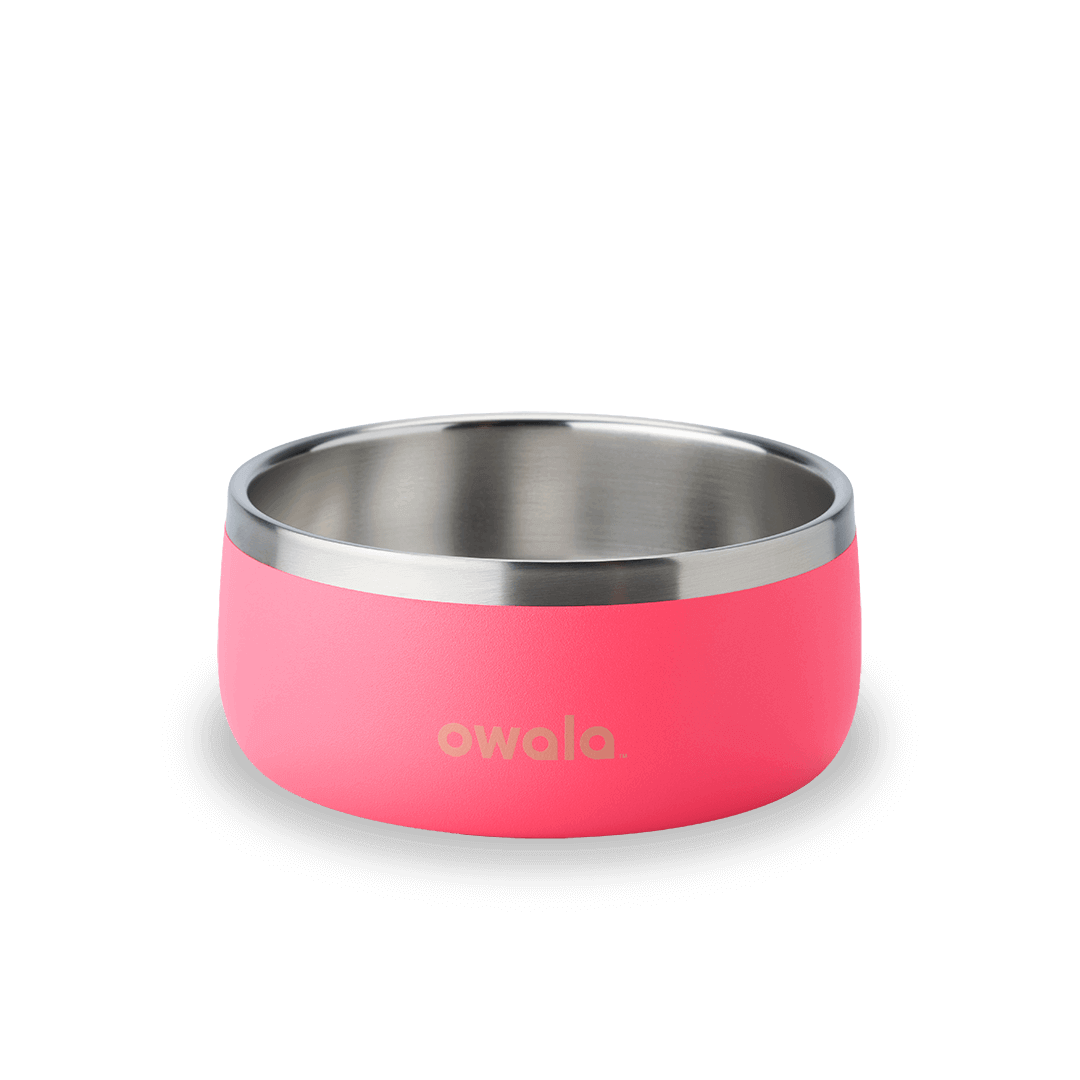 Pet Bowl X3