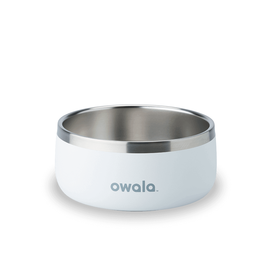 Pet Bowl X3