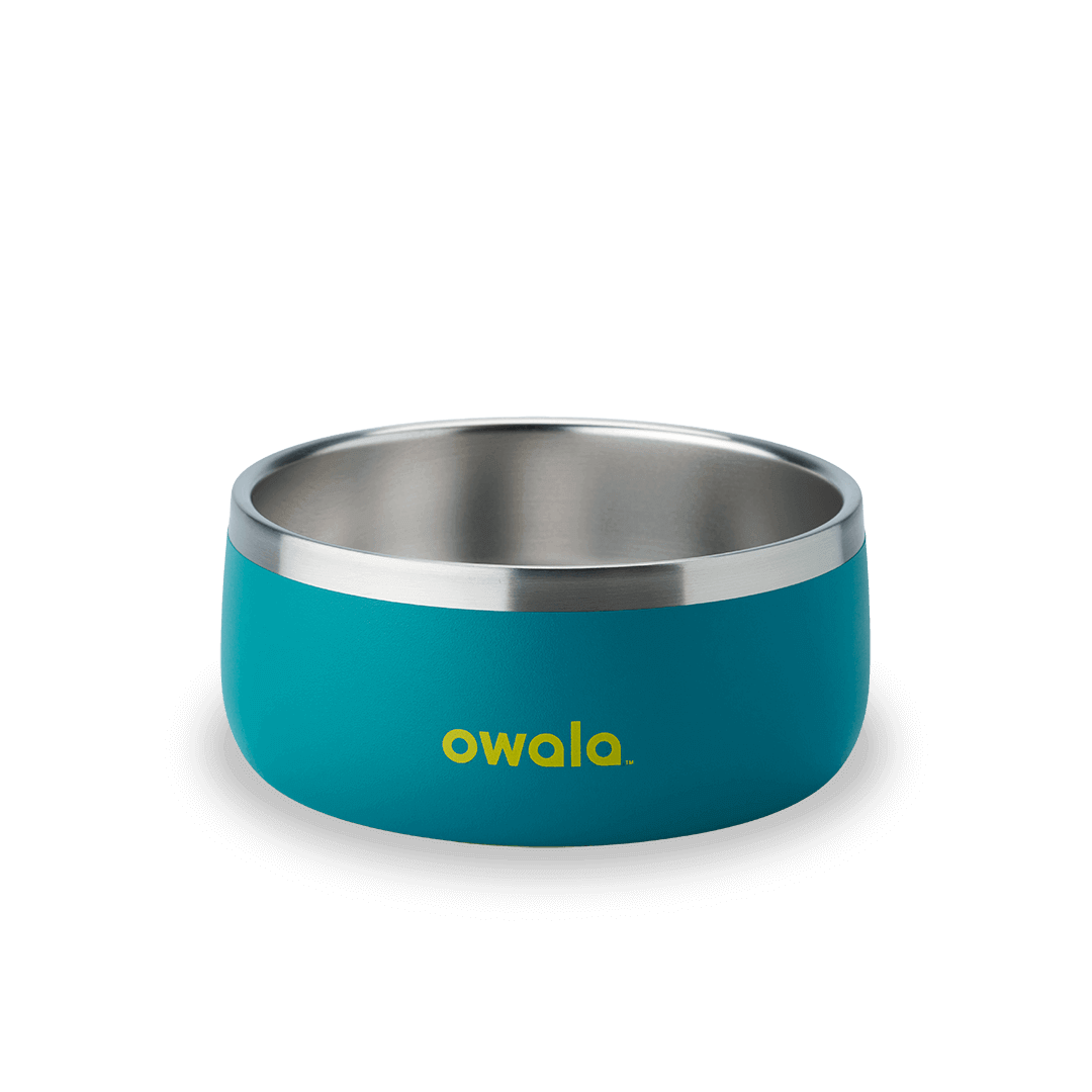 Pet Bowl X3
