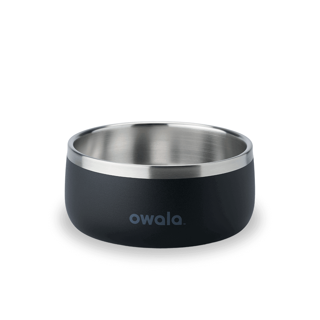 Pet Bowl X3
