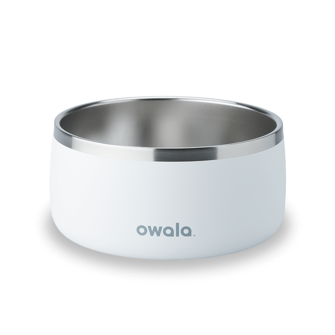 Pet Bowl X3