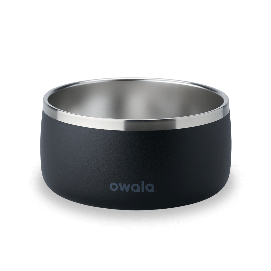 Pet Bowl X3