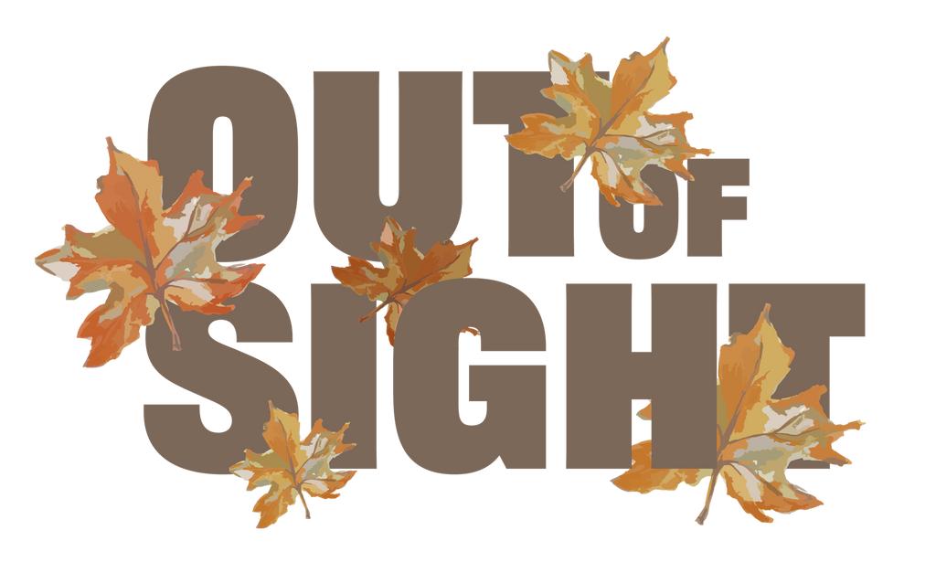 Out of Sight V4