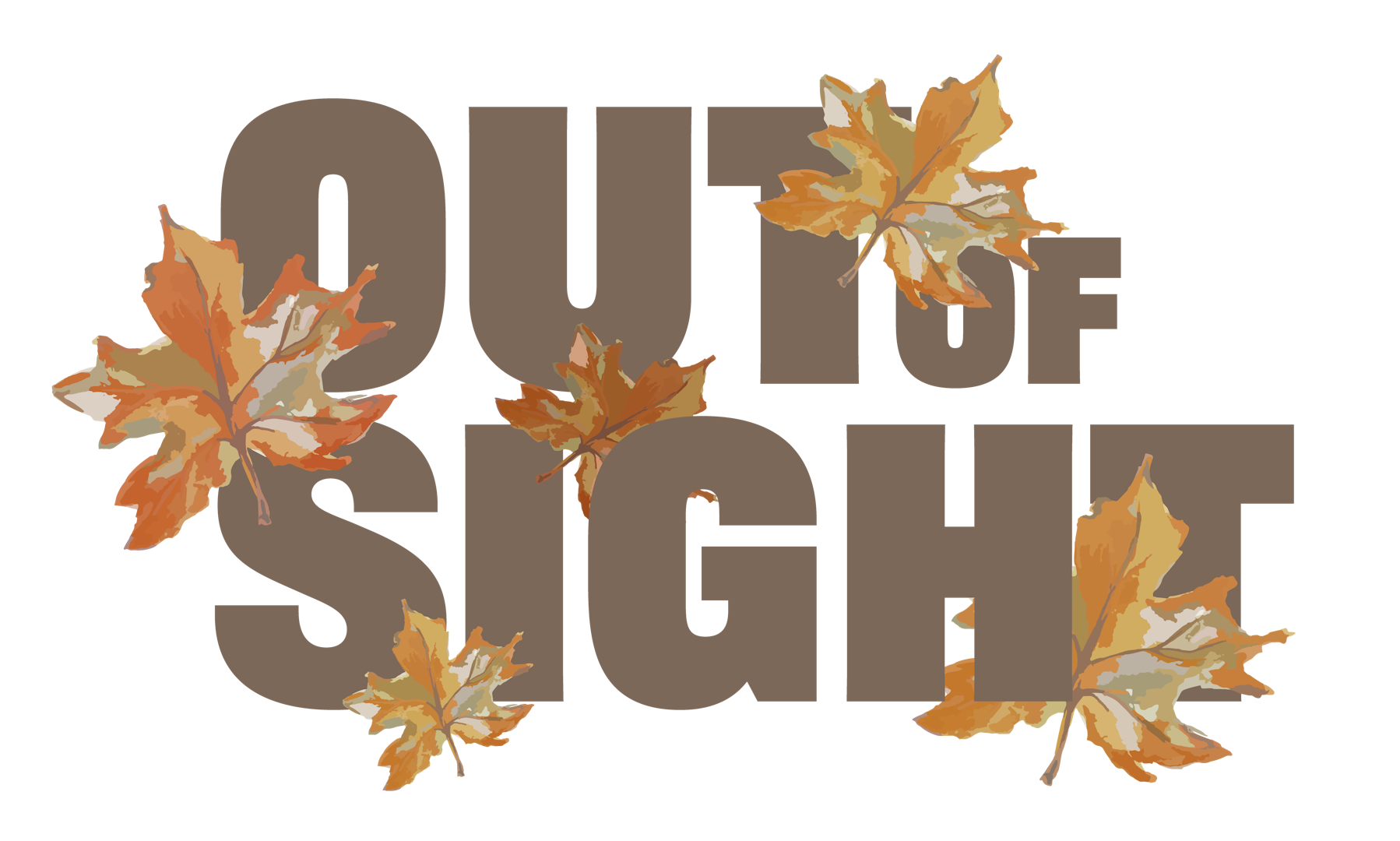 Out of Sight V4
